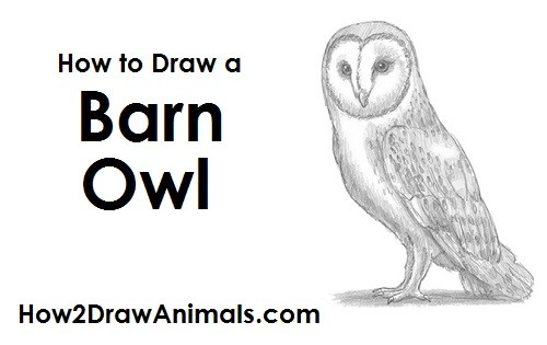 500x315 How To Draw Scary Owl Step Owls - Scary Owl Drawing