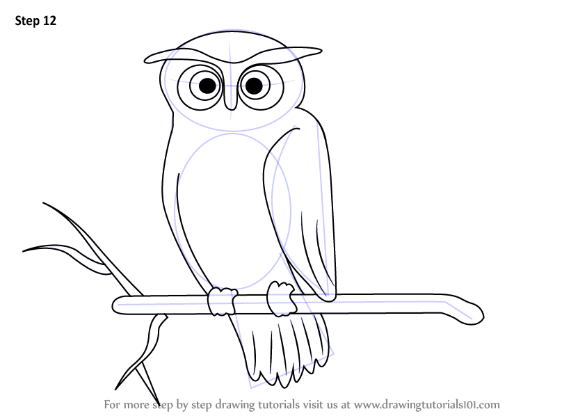 844x598 Learn How To Draw A Scary Owl - Scary Owl Drawing