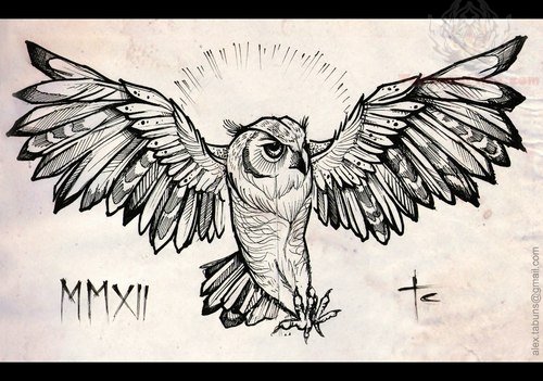 500x351 Open Wings Owl Drawing - Scary Owl Drawing