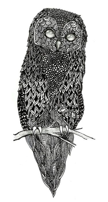 376x700 Owls Drawings, Owl Art, Owl - Scary Owl Drawing