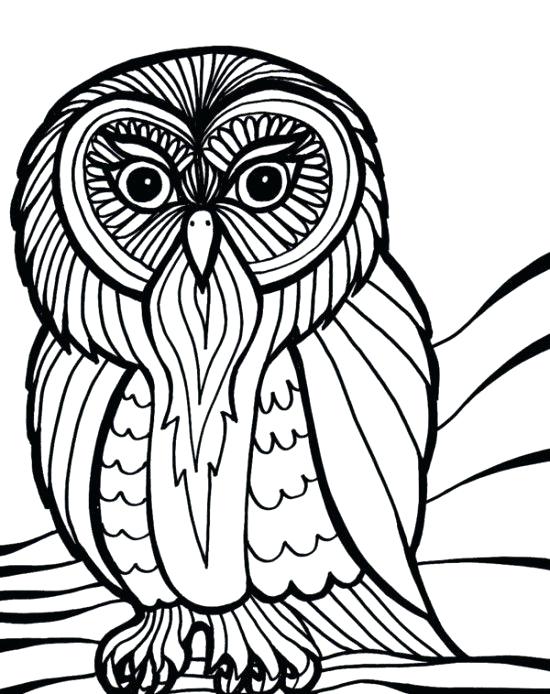 550x694 Scary Owl Coloring Pages Of Free Halloween - Scary Owl Drawing