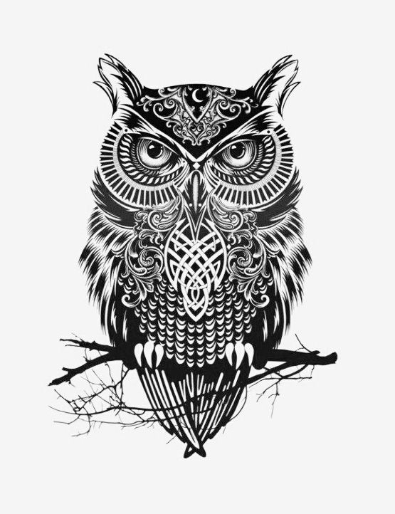 555x722 Scary Owl Illustration In Black White Art Owl Tattoo Design - Scary Owl Drawing