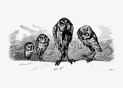 400x285 scary owls vintage drawing buy photos ap images detailview - Scary Owl Drawing