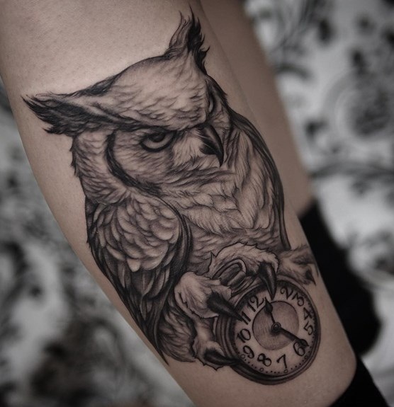 556x575 the best owl tattoos for men improb - Scary Owl Drawing