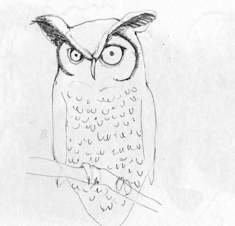 Scary Owl Drawing at PaintingValley.com | Explore collection of Scary ...