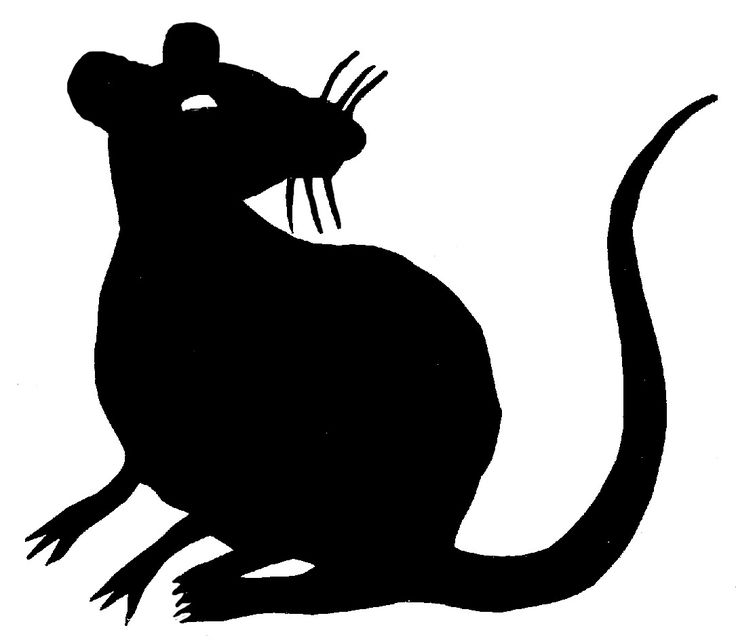 736x641 Bw Clipart Rat - Scary Rat Drawing