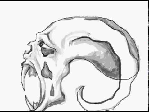 480x360 How To Draw Creepy Skull - Scary Skull Drawing