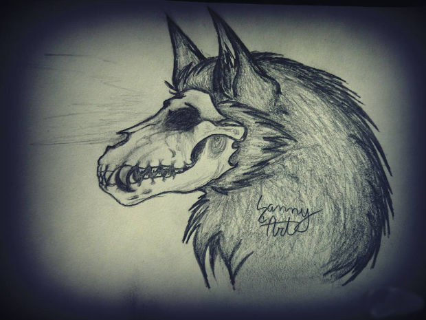 620x465 skull drawings, art ideas design trends - Scary Skull Drawing