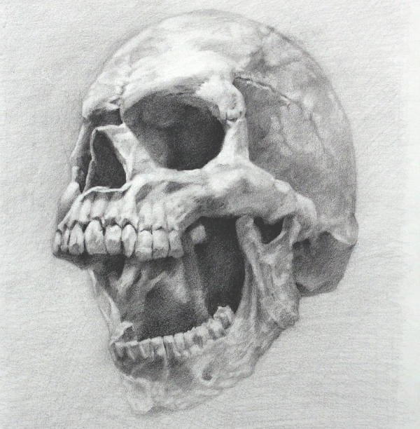 600x612 Scary Drawings, Art Ideas Free Premium Templates - Scary Skull Drawing