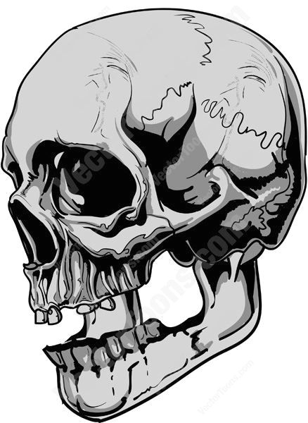 438x600 drawing scary skulls troller us - Scary Skull Drawing