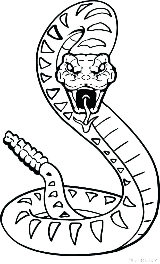 Scary Snake Drawing at PaintingValley.com | Explore collection of Scary