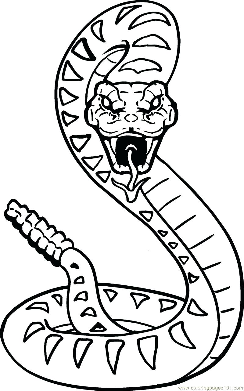Scary Snake Drawing at PaintingValley.com | Explore collection of Scary