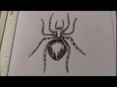 480x360 How To Draw A Creepy Spider Tattoo Idea - Scary Spider Drawing