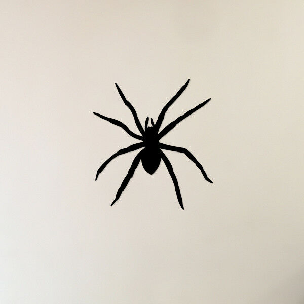 Scary Spider Drawing at Explore collection of