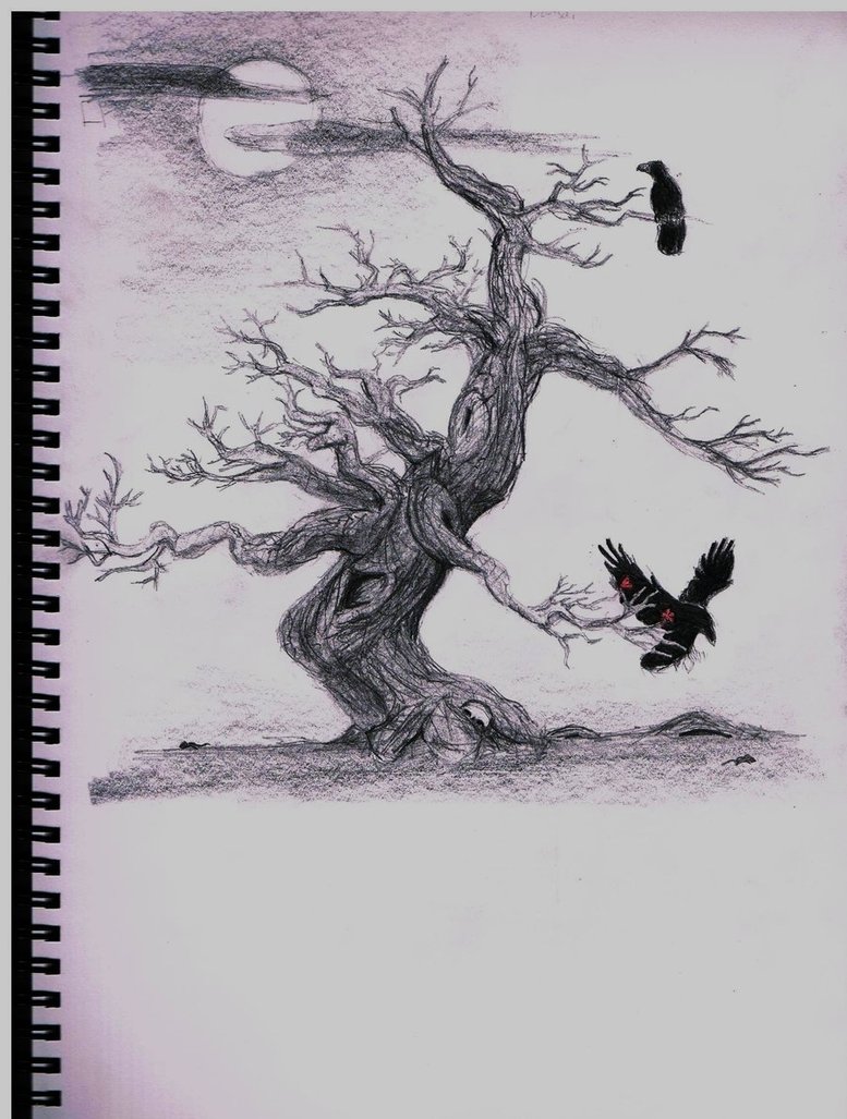 777x1027 Pictures Of Creepy Tree Drawing - Scary Tree Drawing
