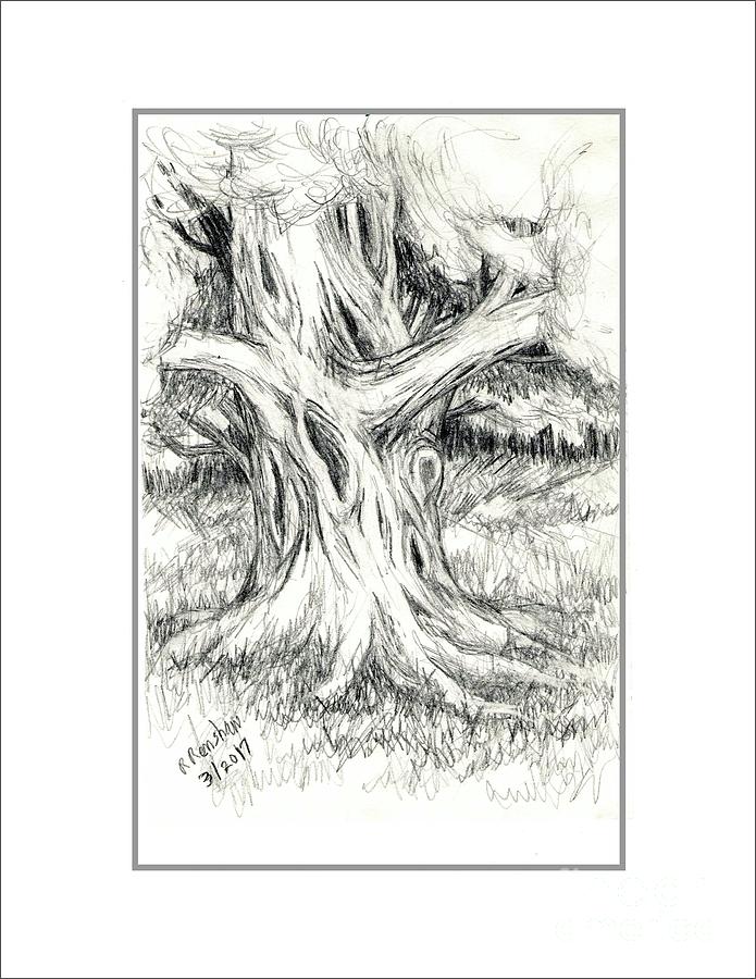 695x900 Scary Tree Drawing - Scary Tree Drawing