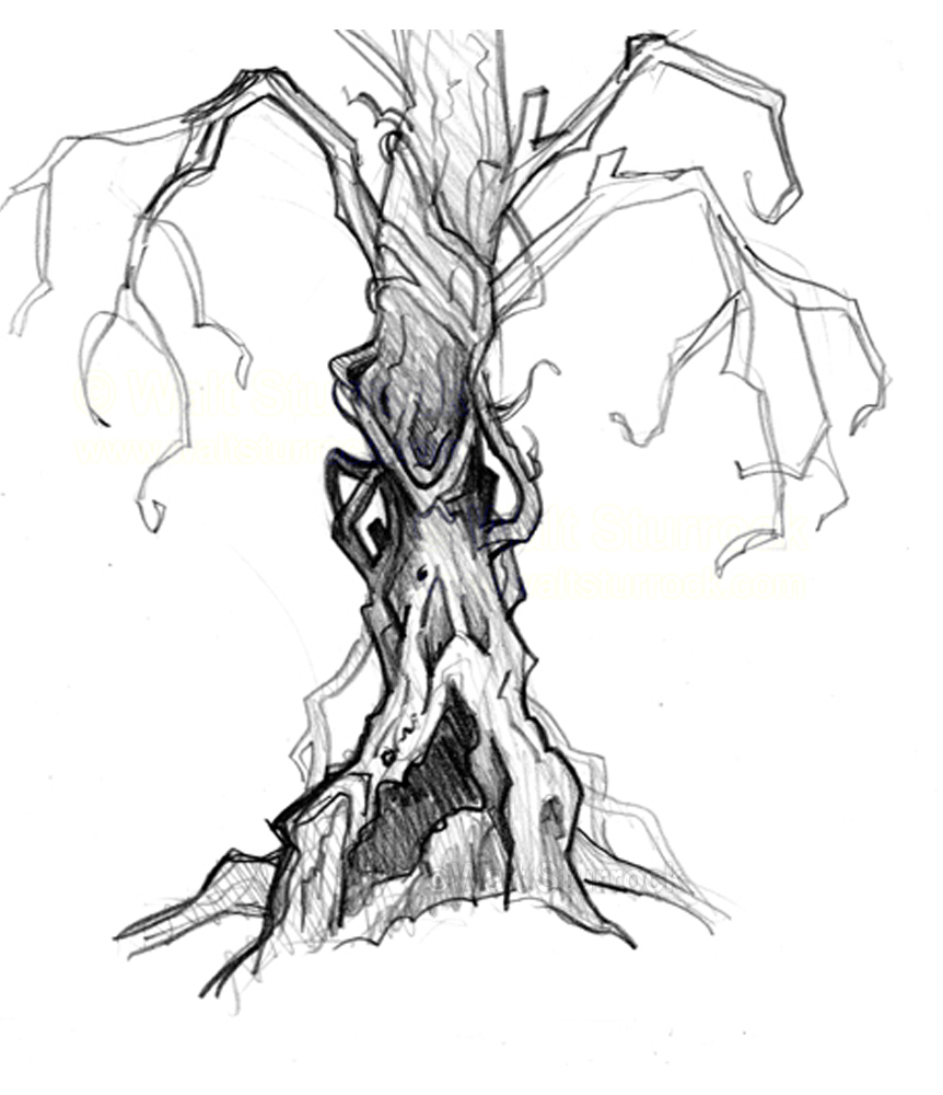 862x1000 Scary Tree Pencil Drawing Waltsturrock - Scary Tree Drawing