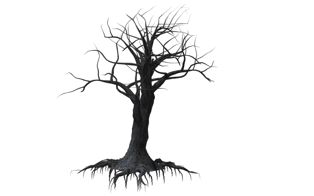 1024x639 Creepy Tree Silhouette - Scary Tree Drawing