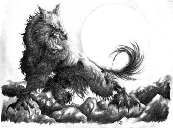 Scary Wolf Drawing at PaintingValley.com | Explore ...