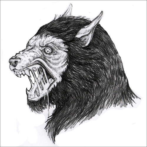 500x500 Werewolf Drawing Whiterabbitart Blog - Scary Wolf Drawing
