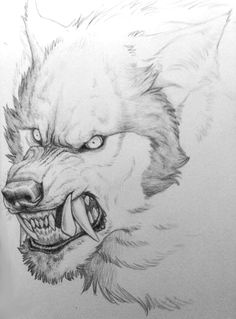 Scary Wolf Drawing at PaintingValley.com | Explore ...