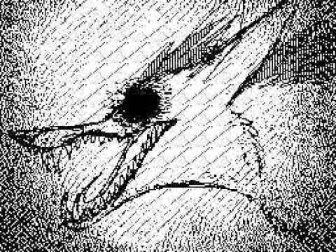 480x360 Creepy Wolf Animation - Scary Wolf Drawing