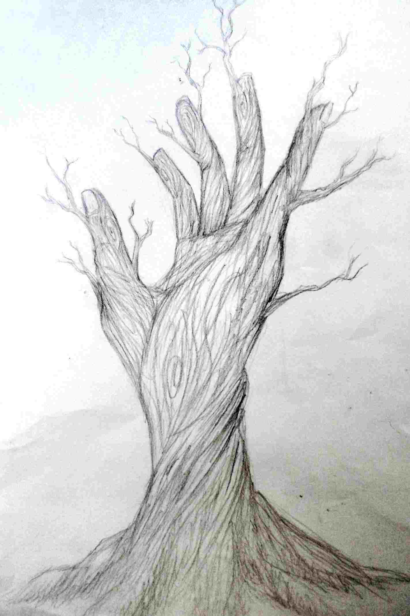 1422x2133 How Drawings Related To Nature To Draw A Scenery Pencil Drawing - Scenery Pencil Drawing
