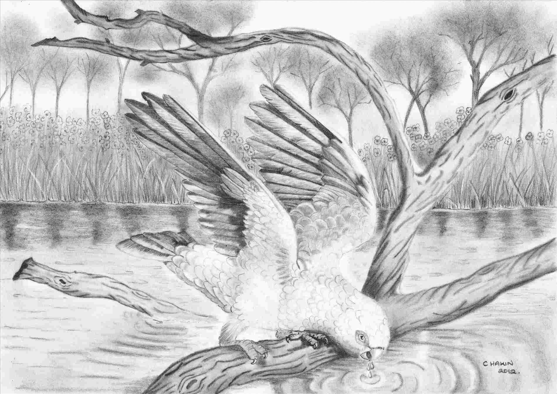 1899x1346 natural pencil drawing of natural scenery scenery pencil drawings - Scenery Pencil Drawing