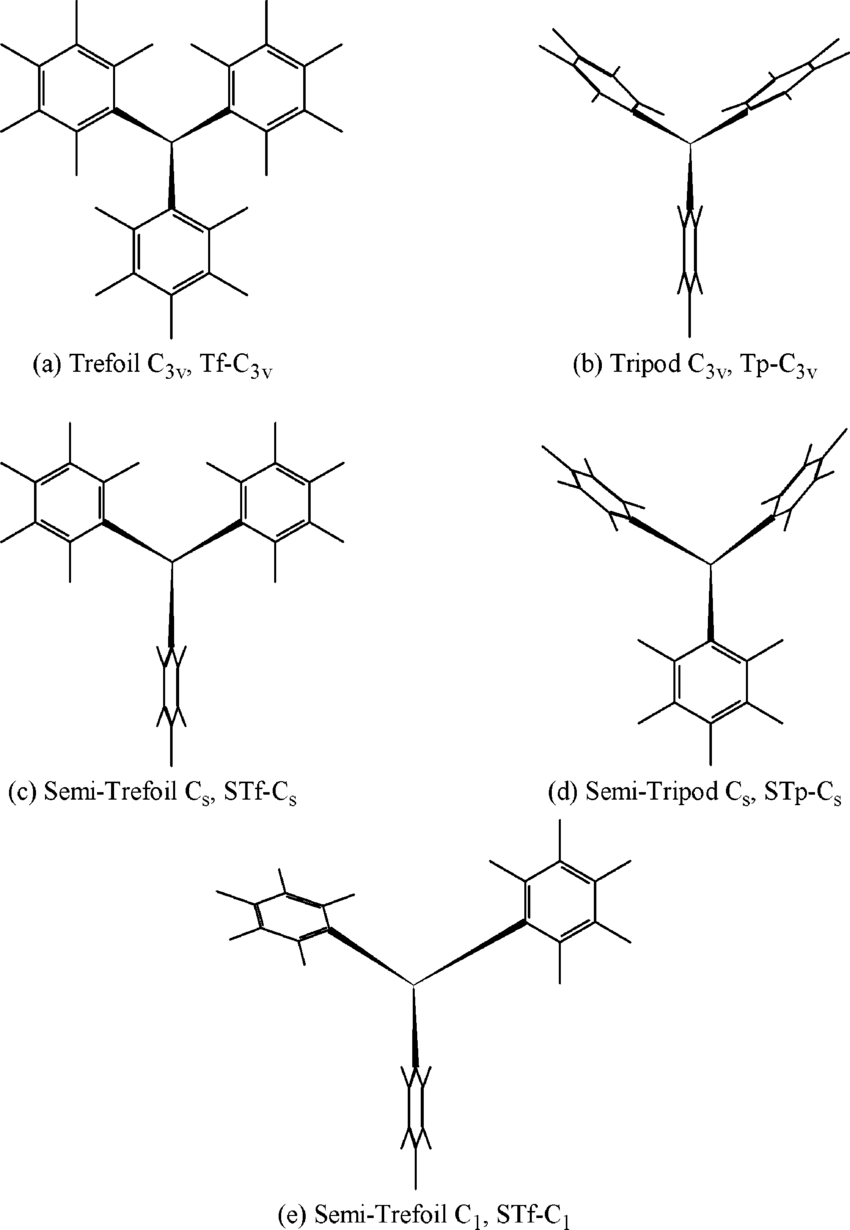 850x1230 scheme drawing of possible conformations - Scheme Drawing