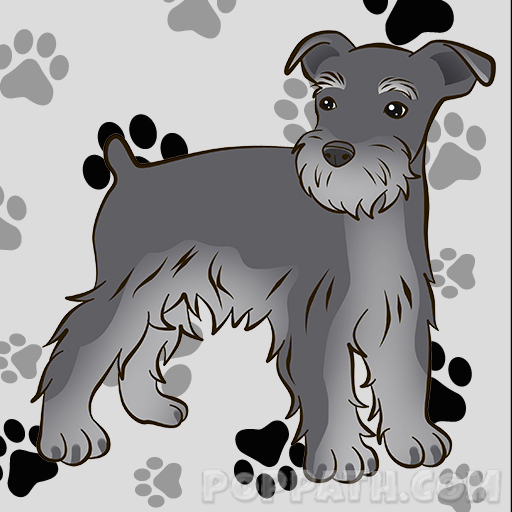 512x512 how to draw a schnauzer pop path - Schnauzer Drawing