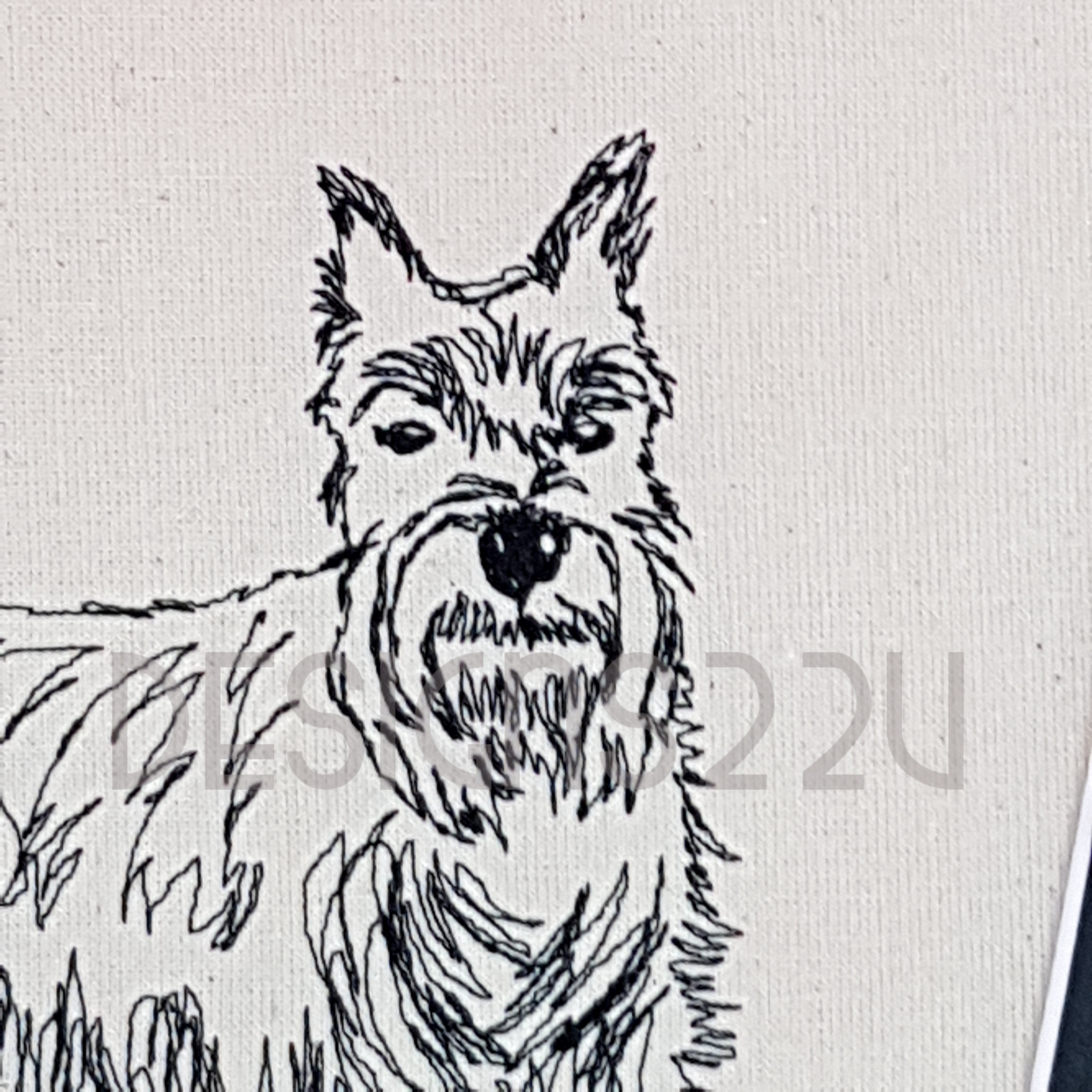 2160x2160 hand drawn miniature schnauzer embroidery design - Schnauzer Line Drawing