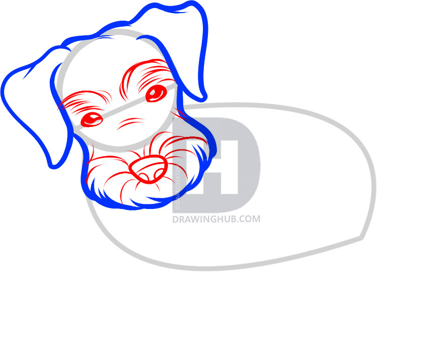 870x699 how to draw a schnauzer, schnauzer, step - Schnauzer Line Drawing