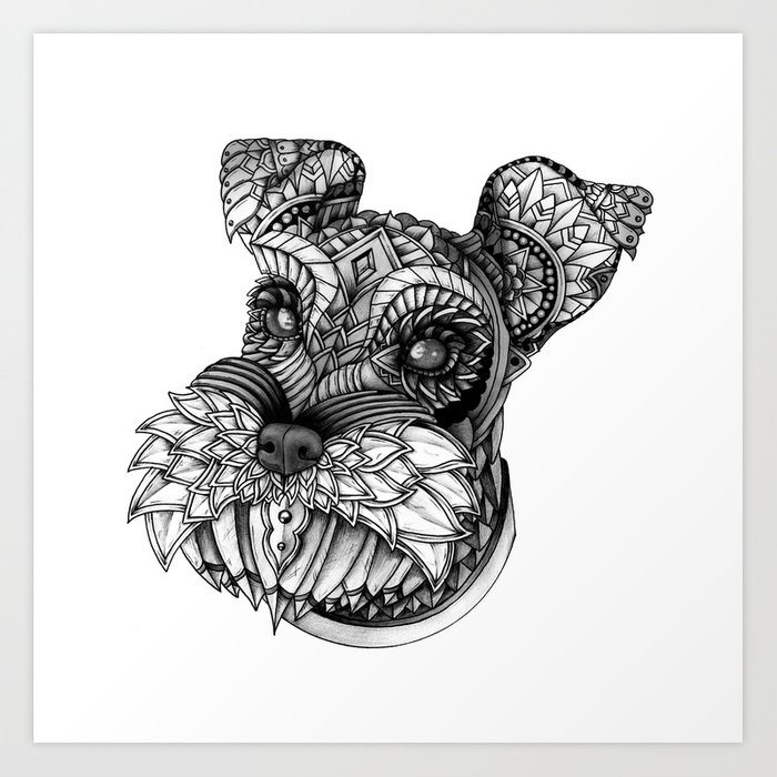 700x700 ornate schnauzer art print - Schnauzer Line Drawing