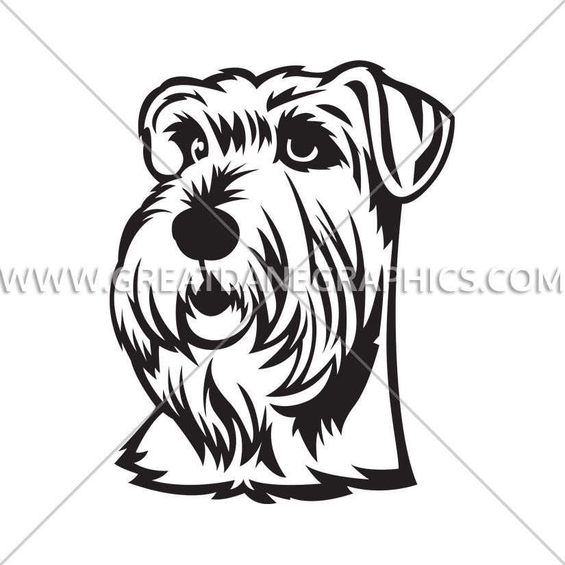 825x825 schnauzer drawing line for free download - Schnauzer Line Drawing