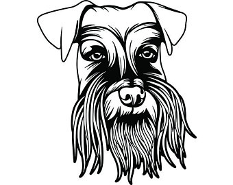 340x270 Schnauzer Etsy - Schnauzer Line Drawing