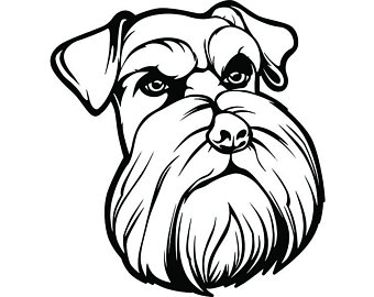 340x270 Schnauzer Vector Etsy - Schnauzer Line Drawing