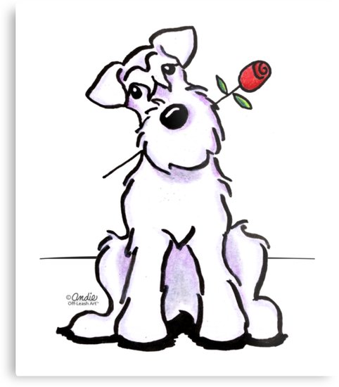 482x550 White Schnauzer Sweetheart Metal Prints - Schnauzer Line Drawing