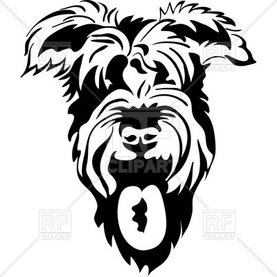 400x400 black and white sketch of schnauzer head with open mouth vector - Schnauzer Line Drawing