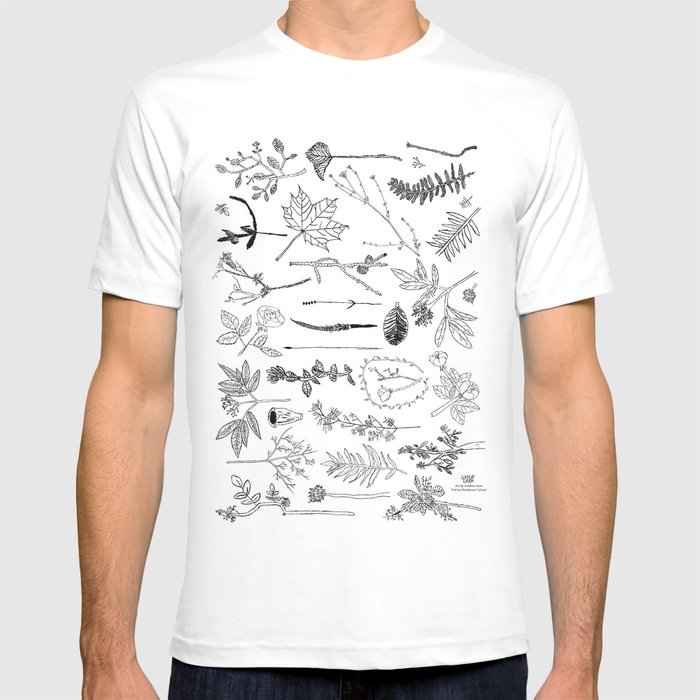 700x700 Botanical Drawings - School Kids Drawing