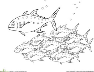 301x232 School Fish Coloring - School Of Fish Drawing