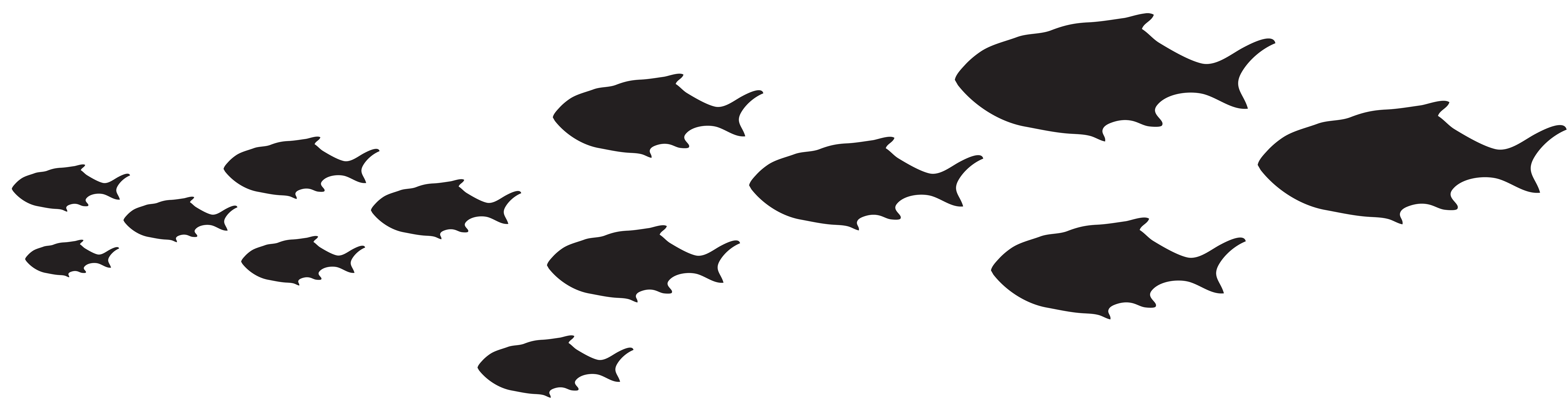 8000x2098 School Of Fish Png Royalty Free Library Black And White - School Of Fish Drawing