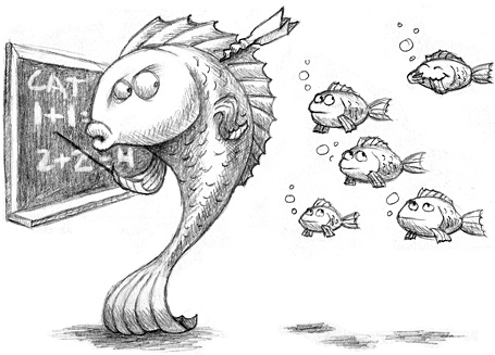 455x327 school of fish sketched out - School Of Fish Drawing