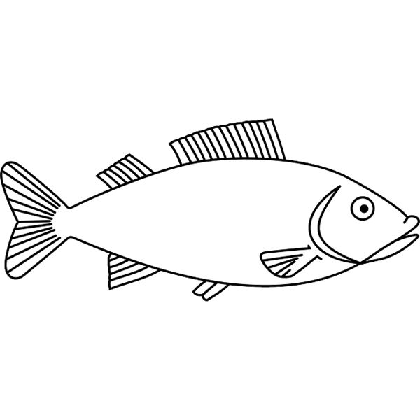 600x600 fish bulletin board ideas an fun way to welcome students back - School Of Fish Drawing