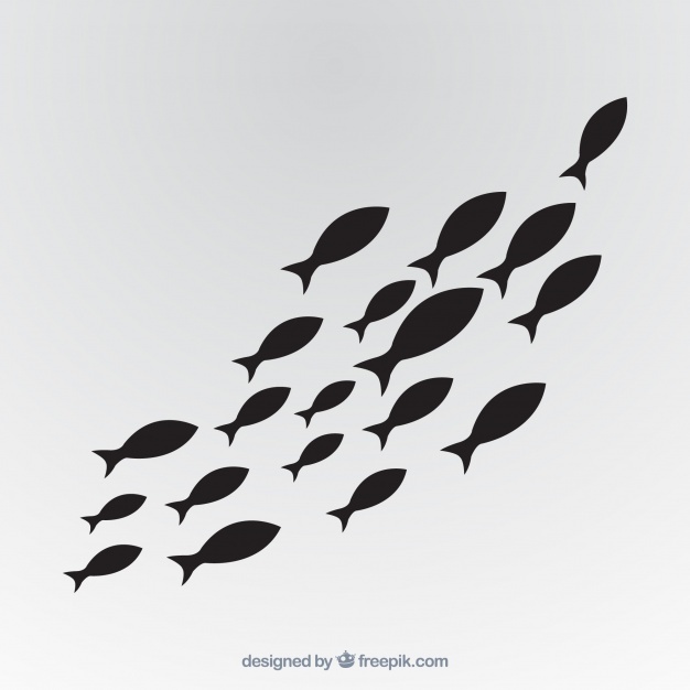 626x626 Fish Icons Free Download - School Of Fish Drawing