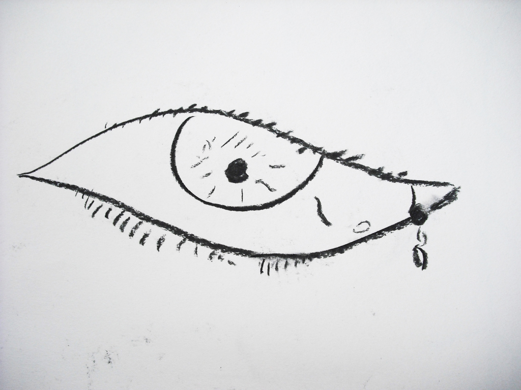 1024x768 the study of tears working with science drawing - Science Drawing