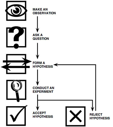 399x448 what is the scientific method - Scientific Method Drawing