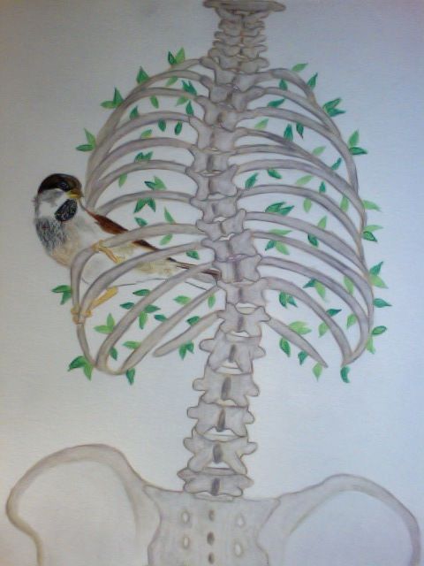 480x640 not quite the tattoo i'm looking for, but a nice drawing - Scoliosis Drawing