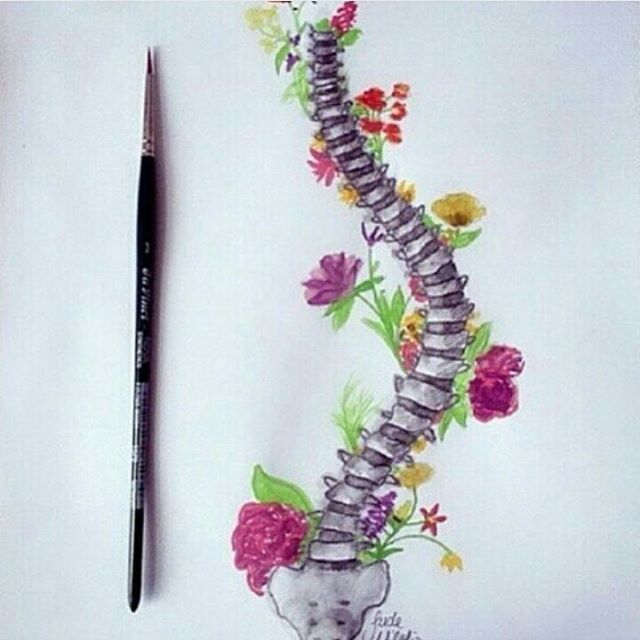 640x640 wow - Scoliosis Drawing