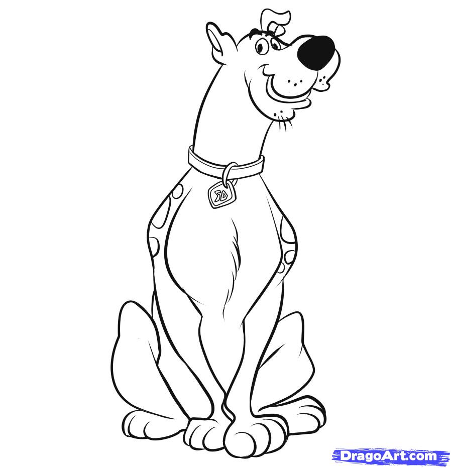 898x932 learn how to draw scooby doo, cartoon network characters, cartoons - Scooby Doo Cartoon Drawing