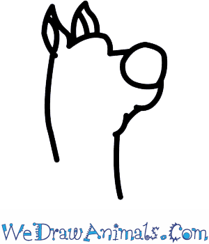 300x350 how to draw scooby doo - Scooby Doo Drawing